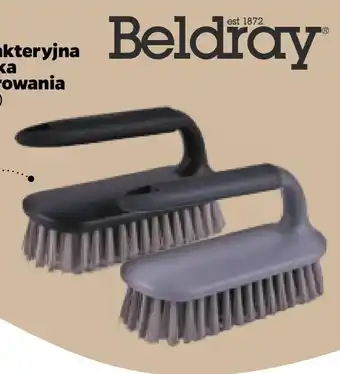 Netto Szczotka beldray oferta