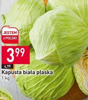 Stokrotka Kapusta biała oferta