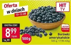 Stokrotka Borówka amerykańska oferta