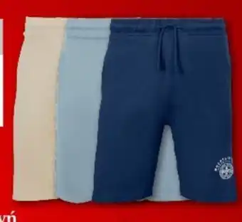 Woolworth Szorty męskie oferta
