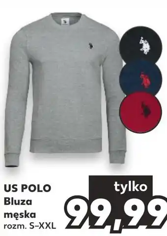Bluza męska u.s polo assm.