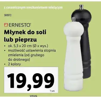 Lidl Młynek kuchenny ernesto oferta