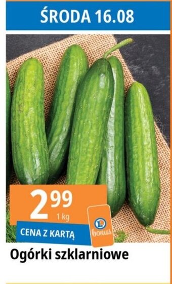 E.Leclerc Ogórki szklarniowe 1 kg oferta