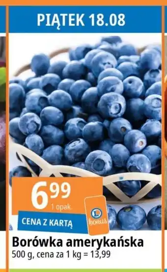 E.Leclerc Borówka amerykańska 500 g oferta