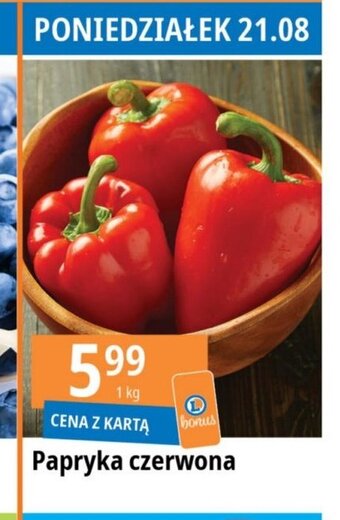 E.Leclerc Papryka czerwona 1 kg oferta