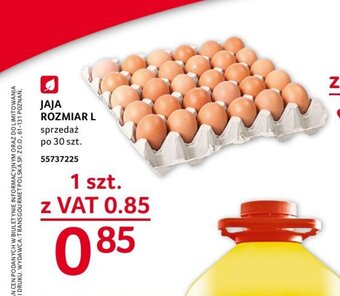 Selgros JAJA ROZMIAR L 1 szt. oferta