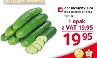 Selgros OGÓREK KRÓTKI 5 KG oferta