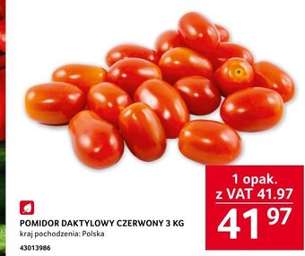 Selgros POMIDOR DAKTYLOWY CZERWONY 3 KG oferta