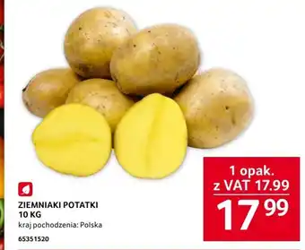 Selgros ZIEMNIAKI POTATKI 10 KG oferta