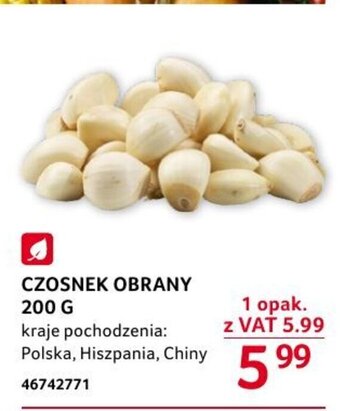 Selgros CZOSNEK OBRANY 200 g oferta