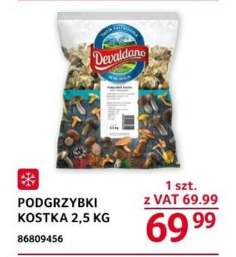 Selgros PODGRZYBKI KOSTKA 2,5 KG oferta