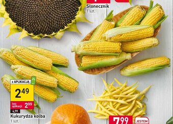 Stokrotka Kukurydza kolba 1 szt. oferta