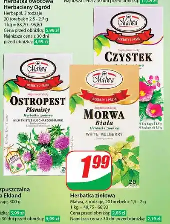 Dino Herbatka ostropest plamisty oferta