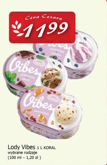 KORAL Lody Vibes 1 L