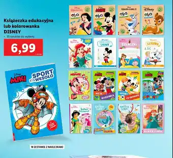 Lidl Księżniczka &quot;suknie księżniczek&quot; 1 SZT oferta