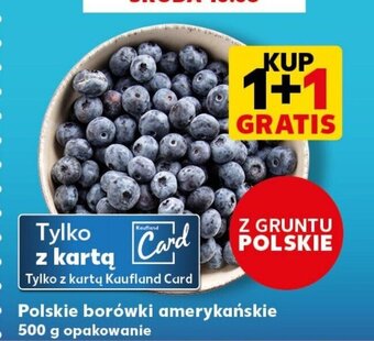 Kaufland Polskie borówki amerykańskie 500 g oferta