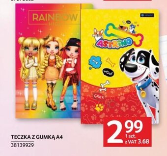 Selgros TECZKA Z GUMKĄ A4 oferta