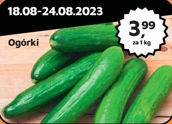 Odido Ogórki oferta