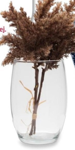 Agata Meble Wazon oferta