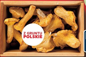 Kaufland Kurki oferta