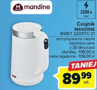 Carrefour Czajnik MANDINE BWKT 2200TC-21 oferta