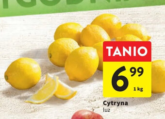 Intermarche Cytryna 1 kg oferta