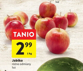 Intermarche Jabłko 1 kg oferta