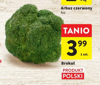 Intermarche Brokuł 1 szt. oferta