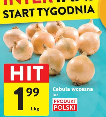 Intermarche Cebula wczesna 1 kg oferta