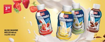 Eurocash MLEKO SMAKOWE MULLER 400 ml oferta
