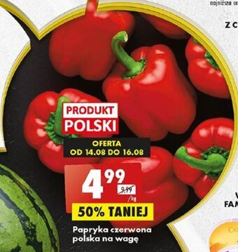 Biedronka Papryka czerwona polska na wagę 1 kg oferta