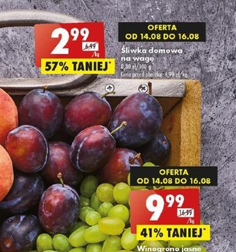 Biedronka Śliwka domowa na wagę 1 kg oferta