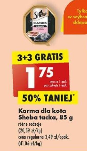 Biedronka Karma dla kota Sheba tacka, 85 g oferta