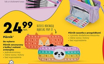 Biedronka Piórnik* oferta