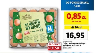 Lidl Jaja z wolnego wybiegu, wielkość M, klasa A 20 szt. oferta