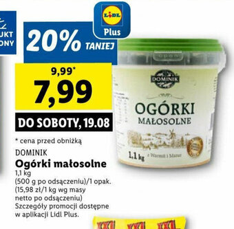 Lidl Ogórki małosolne 1,1 kg oferta