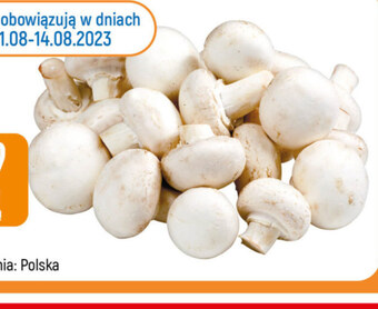 E.Leclerc Pieczarki oferta
