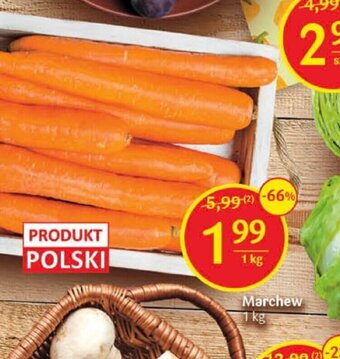 Delikatesy Centrum Marchew 1 kg oferta