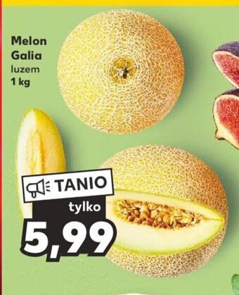 Kaufland Melon Galia 1 kg oferta