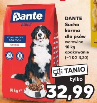 Kaufland DANTE Sucha karma dla psów wołowina 10 kg oferta