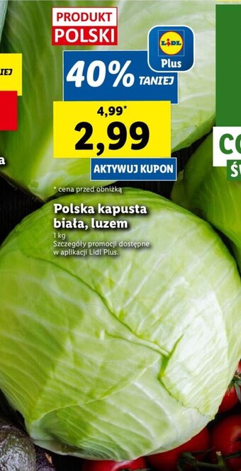 Lidl Polska kapusta biała, luzem 1 kg oferta