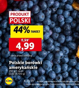 Lidl Polskie borówki amerykańskie 250 g oferta