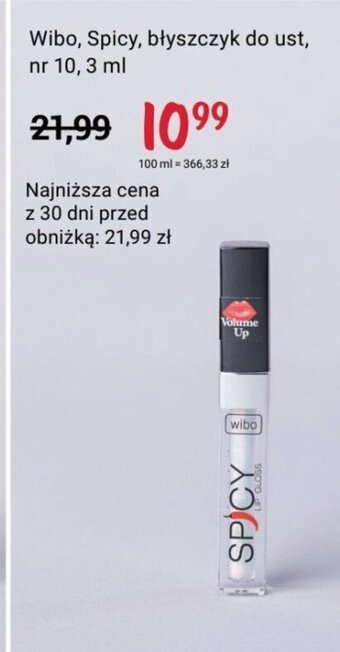 Rossmann Wibo, Spicy, błyszczyk do ust, nr 10,3 ml oferta