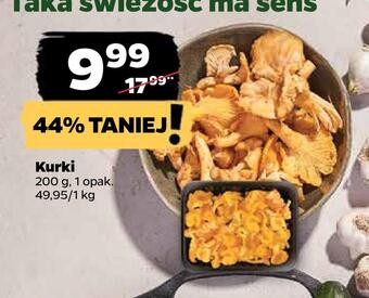 Netto Kurki oferta