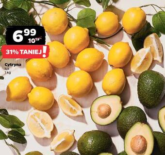 Netto Cytryna oferta