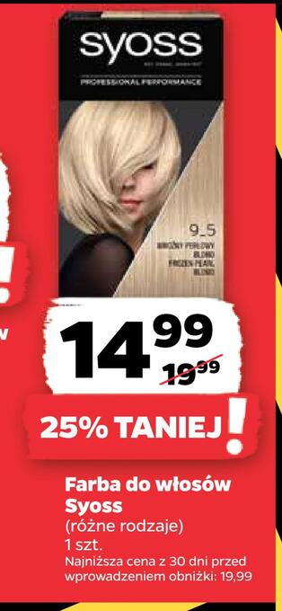 Netto Farba do włosów syoss oferta