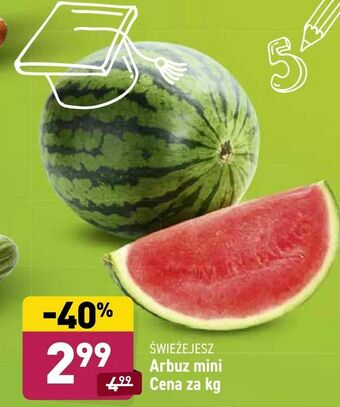 ALDI Arbuz mini oferta