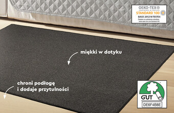 Biedronka Dywan oferta