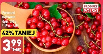 ALDI Porzeczki oferta