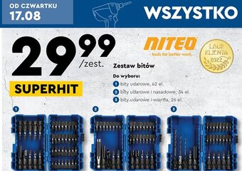 Biedronka Zestaw bitów precyzyjnych z uchwytem oferta